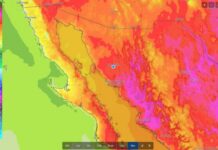 Recomiendan cuidados ante altas temperaturas