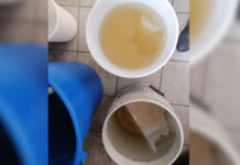 Guadalajara: agua sin cloro en 93% de muestras en laboratorio; detectan indicios de bacteria E. coli y metales pesados