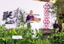 Anuncia Sheinbaum Jornada Nacional de Reforestación