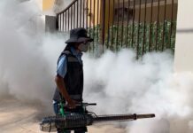 Impulsa Salud Sonora medidas preventivas para evitar el dengue