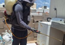 Salud Sonora intensifica acciones contra la rickettsia con fumigación de viviendas