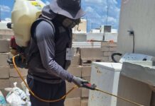 Salud Sonora intensifica acciones contra la rickettsia con fumigación de viviendas