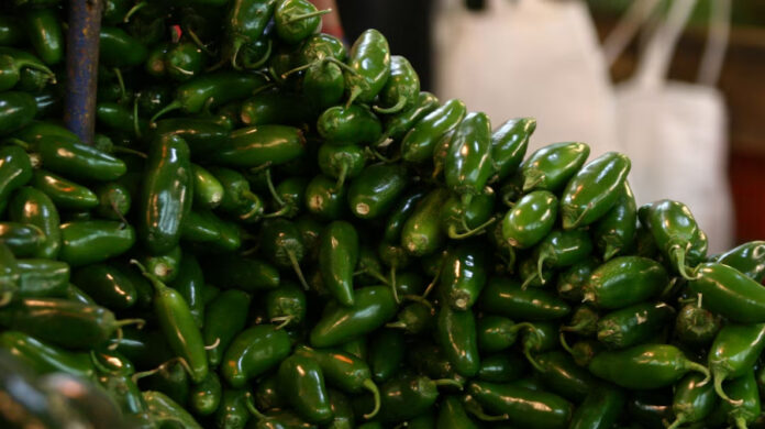 cofeprisescarta