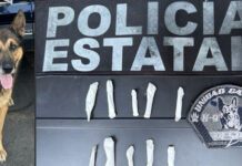 *Fortalece Unidad K9 de la PESP acciones contra el delito*