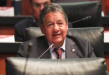 Morena elige a Higinio Martínez para dirigir el Senado
