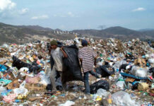 Basura, negocio de más de 50 mil millones de pesos al año en México