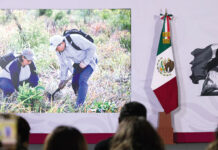 Esperemos que no haya ninguna otra intención: Sheinbaum