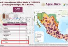 Detectan en Sonora primer caso de Gusano Barrenador