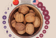 China pone arancel de 51.6% a nueces de México y EU
