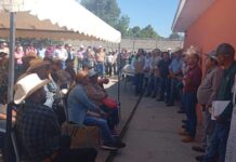 *Gobierno de Sonora y Senasica intensifican acciones sanitarias para proteger al sector ganadero*