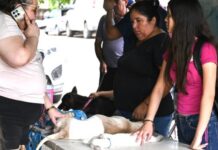 SERVICIOS, SALUD Y BIENESTAR INTEGRAL RECIBEN FAMILIAS DE CÓCORIT CON FERIA DE PAZ