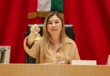 Propone Congreso de Sonora atención integral a mujeres que pierden a sus hijos antes o después de nacer