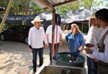 Gobernador Durazo refuerza medidas de prevención y control con Segunda Jornada Nacional de Lucha contra el Dengue