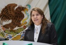 Respaldan diputadas y diputados del GPM el proyecto de transformación de la Presidenta Claudia Sheinbaum