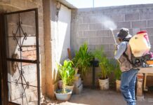 Mantiene Salud Sonora acciones contra el dengue en Adivino, Villa Pesqueira