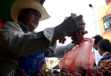 Dejaron la inseguridad alimentaria 8.6 millones de mexicanos en 10 años