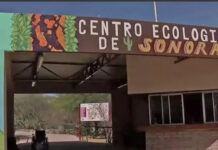 Proyectan reapertura de invernadero en Centro Ecológico para el próximo año