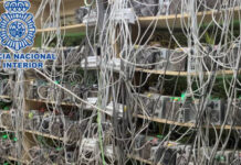 Desmantelan en Puebla «fábrica» clandestina de criptomonedas