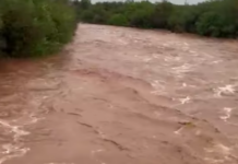 Lluvias dejan afectaciones menores en las últimas horas