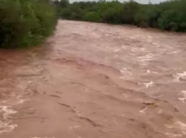 Lluvias dejan afectaciones menores en las últimas horas