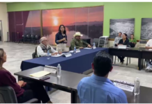 RED DISTRITAL CONJUNTA ESTRATEGIAS PARA ATENDER PRIORIDADES DE SALUD EN LOS MUNICIPIOS DE DISTRITO 04