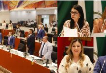Turna Congreso de Sonora iniciativas en adicciones, adopción y desarrollo rural
