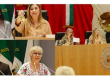 Propone Congreso de Sonora atención integral a mujeres que pierden a sus hijos antes o después de nacer