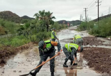 Coordina CEPC labores de auxilio en municipios afectados por Polo