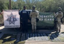 Con presencia estratégica, División de Operaciones Fronterizas de la PESP genera resultados