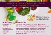 *Promueve Salud Sonora atención integral contra la obesidad para las familias*
