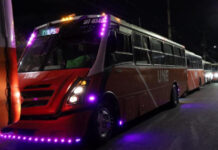 Habrá transporte público gratuito durante la noche del Grito