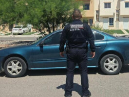 Recupera Policía Estatal 41 vehículos robados durante operativos en Sonora