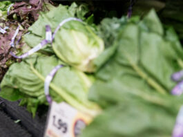 Salmonella y Cyclospora: Estados Unidos cierra investigaciones sin confirmar origen en productos mexicanos