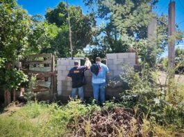 Gobierno de Sonora despliega acciones para atender a familias afectadas por el huracán Polo