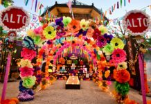 Invita Ayuntamiento de Hermosillo a participar en la Marcha de las Catrinas este domingo 25 de octubre