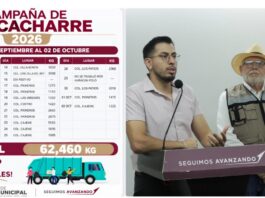 Reducen en Cajeme riesgo de enfermedades transmitidas por vector a través del programa de descacharrización