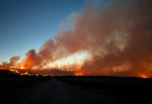 Varios incendios arrasan viviendas y mantienen a cientos en alerta en el sur de California