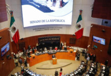 Senado aprueba enmienda para combatir el turismo sexual con menores