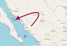 ¡Tembló en Guaymas!